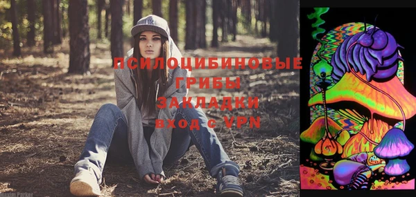 гидропоника Армянск