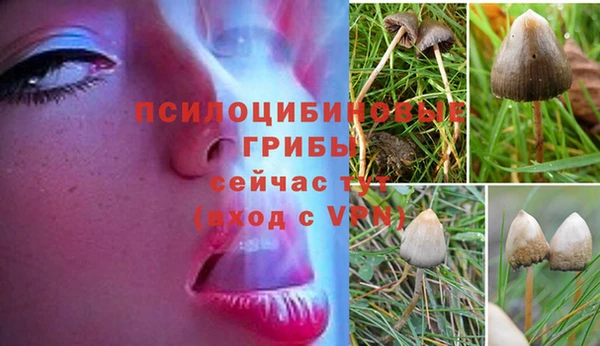 ECSTASY Арсеньев
